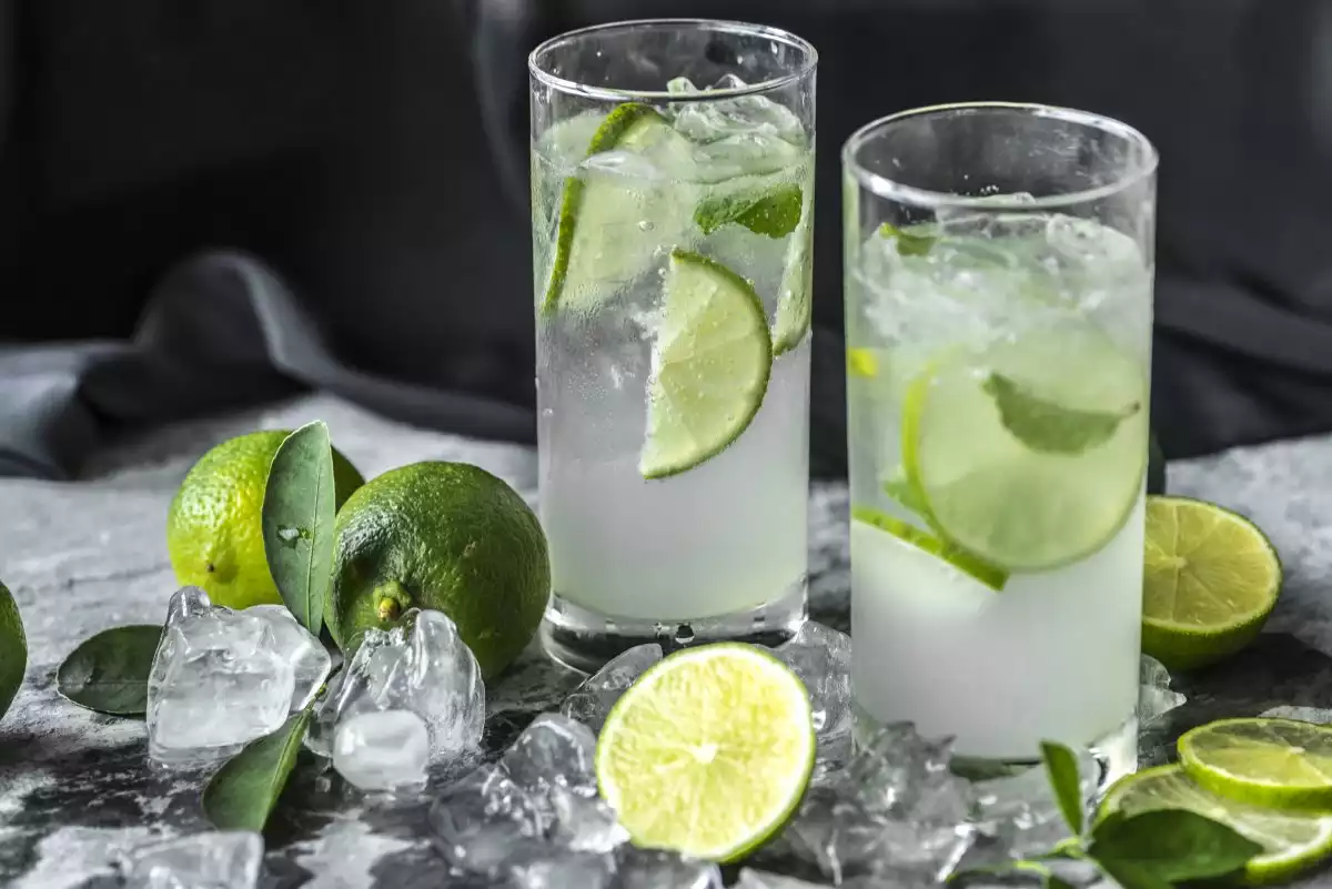 Canada and the USA recognize only 3 types of gin (Genever, Gin, London or Dry gin)