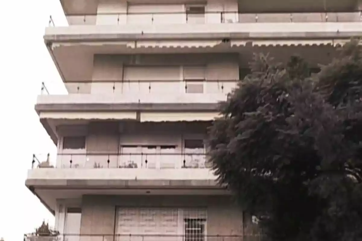 Edificio de varios pisos con balcones y un árbol al lado.